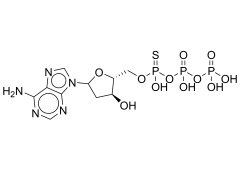 [H-3]2'-Dexoyadenosine 5'-(α-thio) Triphosphate